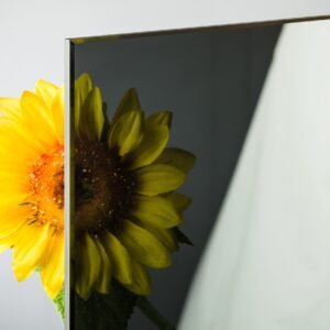 6 mm Float / Normalglas Dunkelgrau