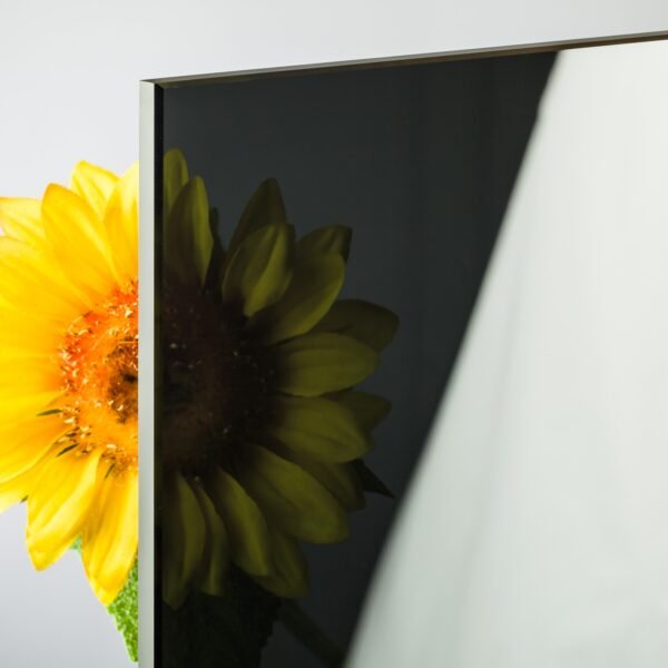 8 mm Float / Normalglas Dunkelgrau