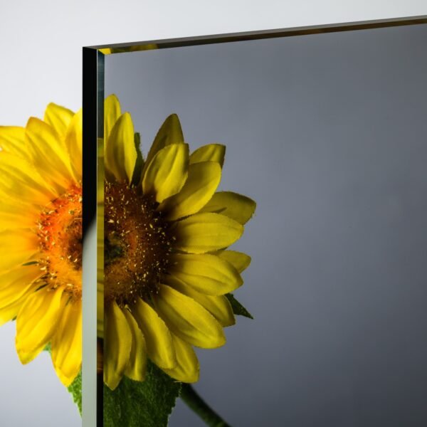 floatglas-normalglas-grau-10mm-glasheld 10 mm Float / Normalglas Grau