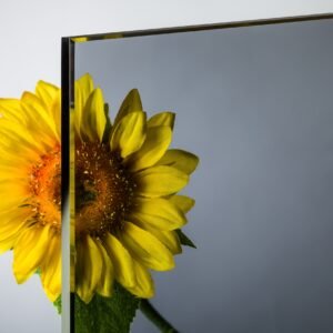 floatglas-normalglas-grau-8mm-glasheld 8 mm Float / Normalglas Grau