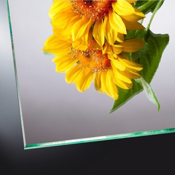 spiegelglas-klar-4mm-glasheld 4 mm Spiegel klar