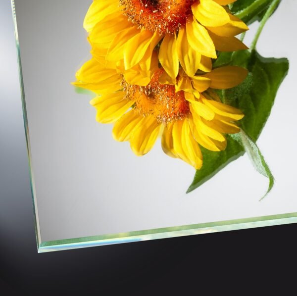 6 mm Spiegel Weißglas